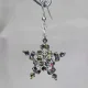 Star - Earrings Pavo - 1
